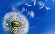 在爱情中的天蝎男和金牛女,以及金牛女和巨蟹男的关系,哪一方更具掌控能力?