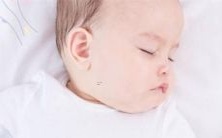 关于如何根据属虎的特点选择适合的偏旁来取名