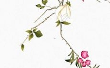 超全的好听部门命名集合,从此不再苦恼起名字!