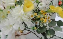 美国人的属相与星座之间的联系:探讨文化差异与认知可能性