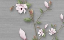 探寻1992年属猴30岁男性2022年每月生肖猴运势:运程展望与生活指南