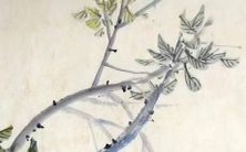 独具创意的美味水饺品牌命名建议,让你的口感与名字同样具备诱人魅力!