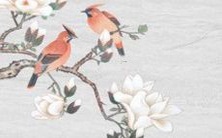 探究2022年,属鸡人在经历望尘莫及的时空差距后,将迎来哪些转机与挑战?——详解2022年属鸡人的全方位运势