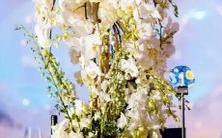 的人最适合的职业是什么?