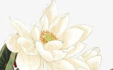 2022年出生的虎宝宝可能姓王,您有什么好的名字推荐吗?