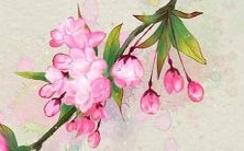 另类而优美,推荐一些姓纪的不常见女孩名字,易于拼写