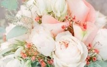 哪个星座最为不在乎物质享受,更重视内在价值?