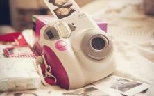 梦见一只猫在悠闲地享用着羊肉的美味,仿佛身临其境的神奇梦境体验