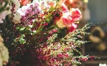 根据星座学,哪些星座和林更新更加合拍?