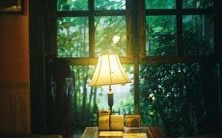 今夜我梦见一只神秘的蛇妖亲吻了我,心中不由得升起一种未知的恐惧和欲望