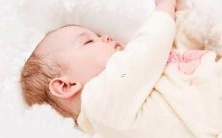 吸引人的耳目,富有力度的犬友命名建议:搭配绝佳、霸气独特的狗狗名字!