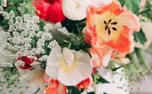 探究自己的身材和体重:那些极其不负责的星座是如何影响我们的?