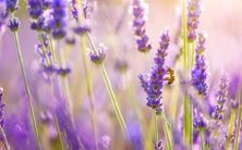 集锦-高冷霸气宝宝名字大全:富含文化涵养,美轮美奂的精选名称