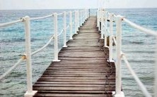 做梦时见到蛇蜕皮,这个梦境暗示着什么样的心理暗示或象征意义?