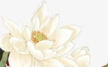 如何选一个简单又好听的舞蹈团队名称?