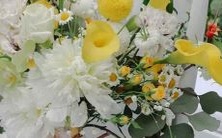 图集:十二星座挑选的完美背带裙,因你而闪耀!