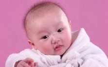 最受欢迎的泰迪犬名字:优美、有趣和独特个性的命名建议!