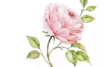 免费起名服务:按照生辰八字为电脑起取个性化名字