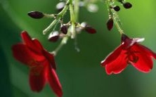 如何懂得处理天蝎座女生的性格和脾气,天蝎女究竟该怎么与其相处?