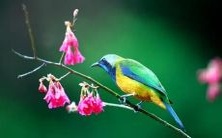 做梦时与神仙交谈有何深刻含义?