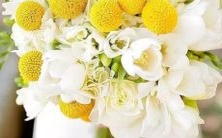 不同星座参与的十二星座聚会中的个人反应和互动