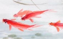 如何选择一个让人叹为观止的好听俩字情侣名字