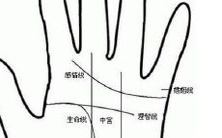 详解手相男事业线怎样观察及短线意义解析