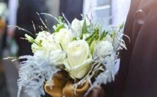 生活中渴望得到他人情感关注以寻求安慰和支持的星座女性