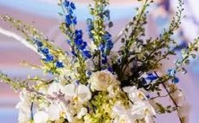 哪个星座倾向于追求完美的清洁与整洁,并借此行为表达他们的内在需求和价值观?