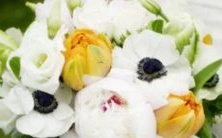 无法抵御情绪冲击的星座:当情绪来袭,全身都难以自控!