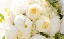 榜单排名:拥有最多帅哥美女的十二星座