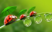 女人梦见自己被囚禁在监狱里,这个梦象意味着什么?