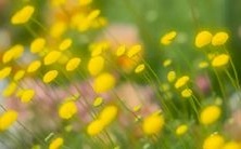 昨晚做了一个美妙的梦:女儿头发飘飘荡荡地长了充满意象意味的奇妙体验