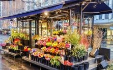 在梦中寻觅金戒指的奇幻之旅:回忆与解析