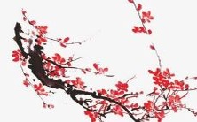 指南:热门、新奇、有意义的2022年男孩名字汇总,完整取名建议及灵感来源介绍