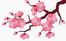 将成为一种文化探究和家庭特色表达的趋势:探索2022年起名时代的追求个性、寓意和传统价值的时代特征