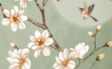 探讨虎宝宝应该取什么样的小名较为适合,以便更好地彰显虎类的特质和个性特点