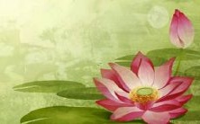 召唤神秘气息的精致烟草品牌名称,如何取名才能让人记忆深刻?