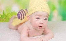 提升食欲的口感之选:富有音乐感的鱼丸命名方法!