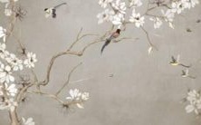 探寻姓侯的音韵美和意义美,探秘优美又有意义的侯姓名字