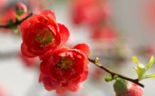 富含创意、象征吉祥的婴儿命名方式