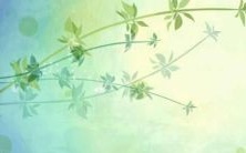 2022年黄姓女孩属狗的名字完整列表:包含最新时髦名字和传统经典选项