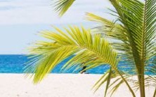 古风唯美闺蜜名字,两个字的森系网名带你进入想象的世界