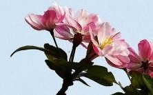 有什么特别之处?一探究竟!