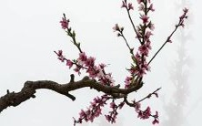 叠字起名法:如何创造好听的、富有创意的、让人印象深刻的姓名?