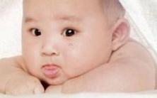 免费2022年涵养丰富的完整取名大全目录,全方位解决你的命名难题!