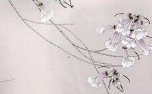 一份精选的令人心驰神往的女孩名字清单