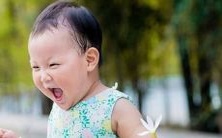 古风名字推荐:探寻优美古韵的两个字取名方案