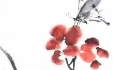 又好记,适合2022年的新生儿,尤以王姓男孩名字为主的高端洋气大全推荐!