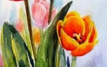 寻找具有洋气好听的石姓名字,让你的孩子成为独特而迷人的存在